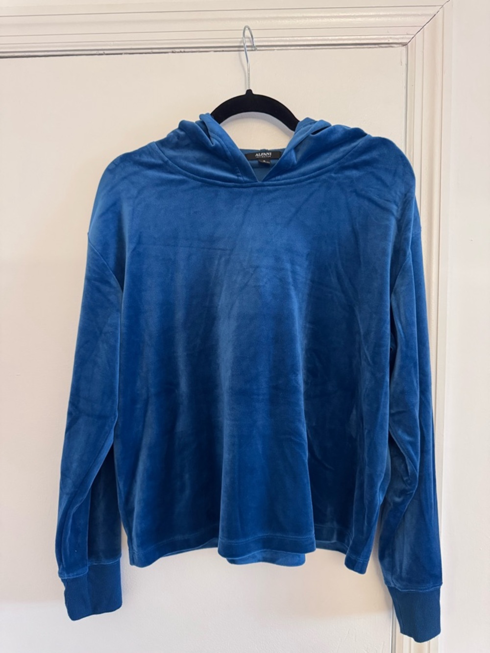 Alfani Plush Velour Hoodie in Teal Blue